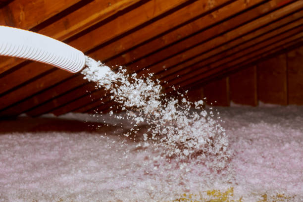 Best Insulation Maintenance and Repair in Mondovi, WI